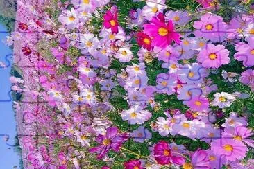 flores
