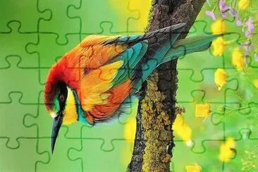 natural jigsaw puzzle