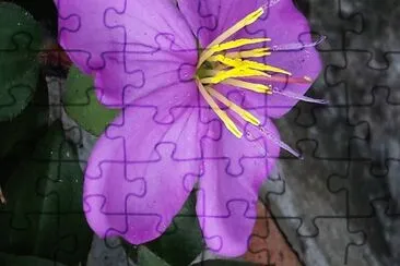 flores jigsaw puzzle