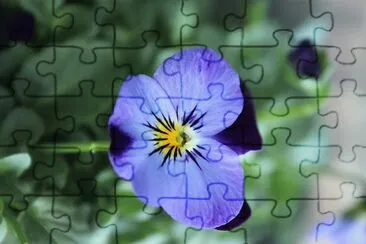 flores jigsaw puzzle
