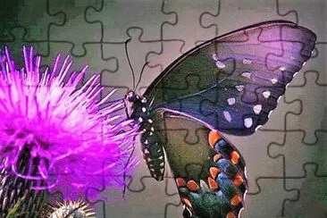 natural jigsaw puzzle