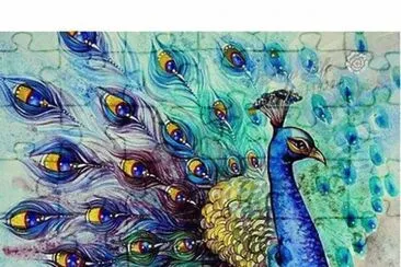pavone blu jigsaw puzzle