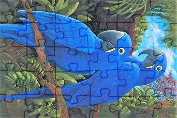 natural jigsaw puzzle