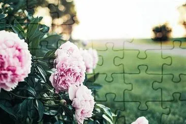 flores jigsaw puzzle