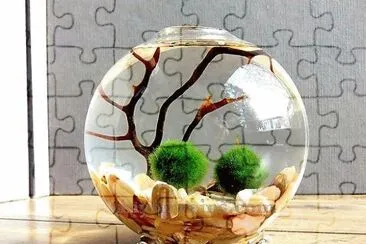 arte