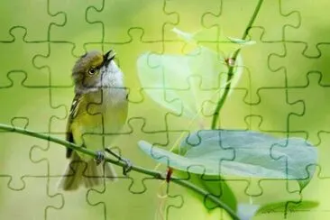 imagem jigsaw puzzle