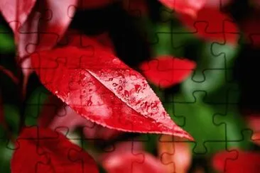 Imagem jigsaw puzzle