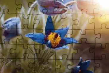 Imagem jigsaw puzzle