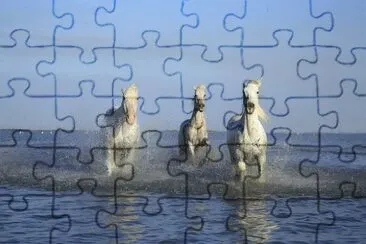 פאזל של Imagem