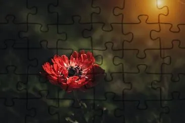 OK jigsaw puzzle