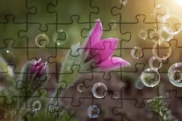 OK jigsaw puzzle