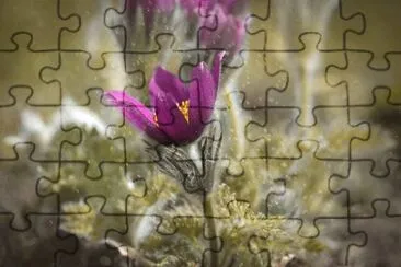 OK jigsaw puzzle