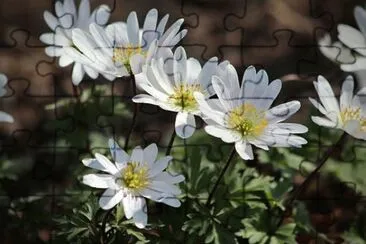 OK jigsaw puzzle