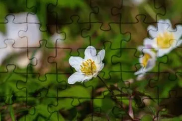 OK jigsaw puzzle