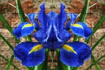 flor jigsaw puzzle