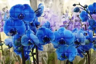 flor jigsaw puzzle