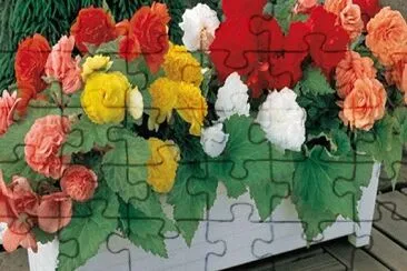flor jigsaw puzzle