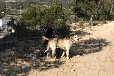 Dog up for adoption: Baloo