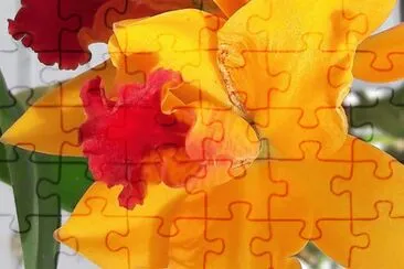 flores jigsaw puzzle