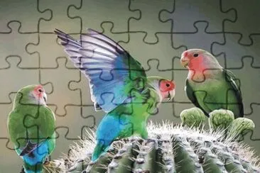 Birds jigsaw puzzle