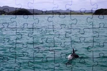 Imagem jigsaw puzzle