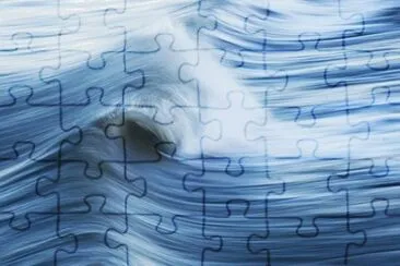 Imagem jigsaw puzzle