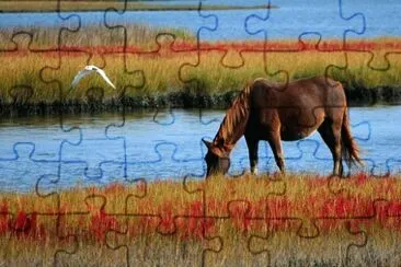 Imagem jigsaw puzzle