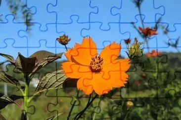OK jigsaw puzzle