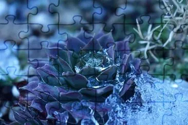 OK jigsaw puzzle