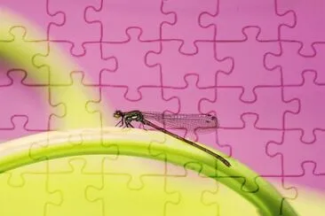 Imagem jigsaw puzzle