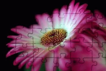 1 jigsaw puzzle