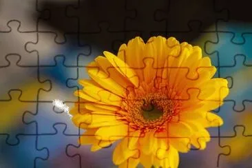 1 jigsaw puzzle