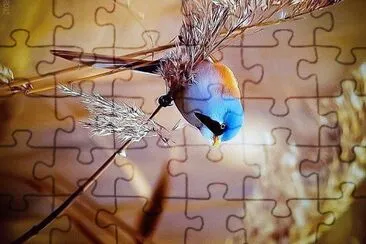 natural jigsaw puzzle