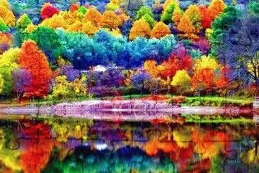 color