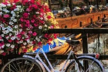 bici jigsaw puzzle