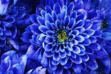 flor