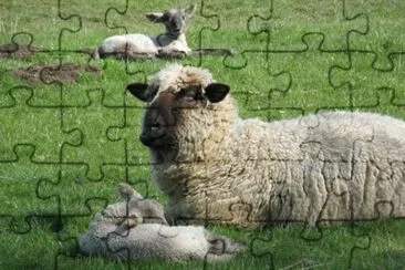 Costwold jigsaw puzzle