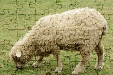 Dartmoort jigsaw puzzle