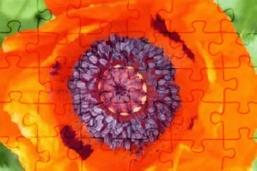 OK jigsaw puzzle