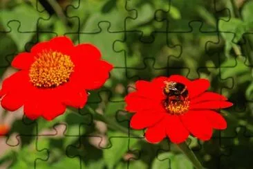 OK jigsaw puzzle