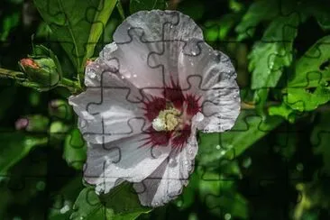 OK jigsaw puzzle