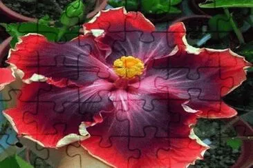 OK jigsaw puzzle