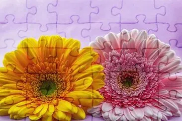 OK jigsaw puzzle