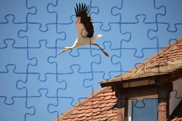 Imagem jigsaw puzzle
