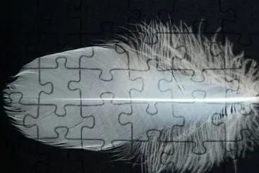Imagem jigsaw puzzle