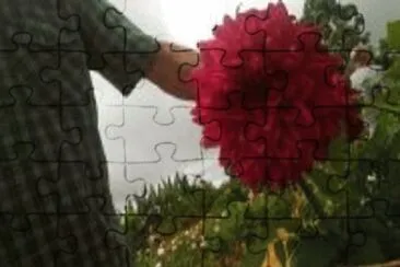 DÃ¡lia jigsaw puzzle