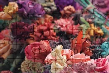 Imagem jigsaw puzzle