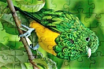 natural jigsaw puzzle