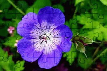 OK jigsaw puzzle