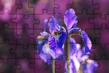 OK jigsaw puzzle